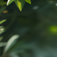 爱破迷雾场