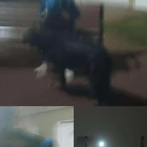 creeper (feat. xionun)