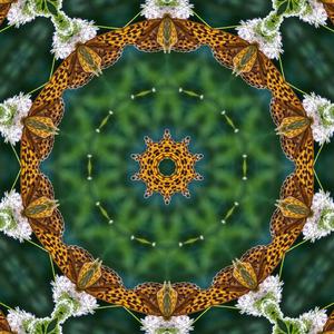 Sanskrit Mantra:Saṃdhivigrahayostulyāyāṃ (The King should choose peace)
