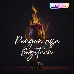 PENGEN NYA BEGITUAN (Remix)