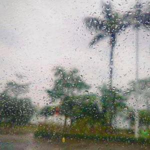 『FREE』回南天 Melody POP R&B Type Beat