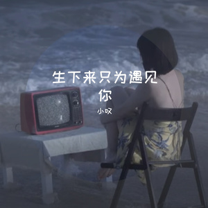 生下来就为遇见你