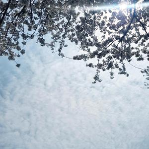 빛으로 가는 길