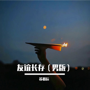 友谊长存（男版）