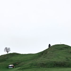 如愿（cover王菲）