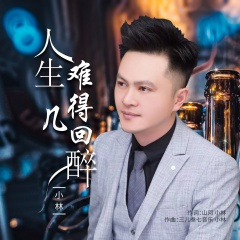 人生难得几回醉 (DJ版)(Remix)