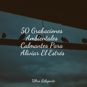 Prados Calmados