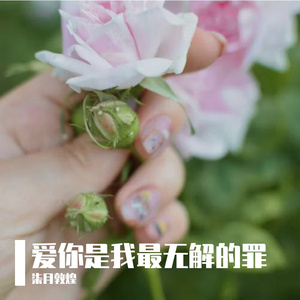 爱你是我最无解的罪