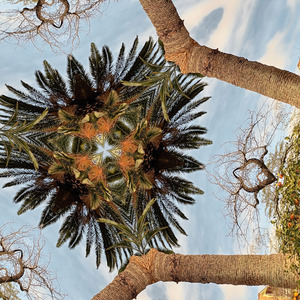 Alpha's whispers, oh so low