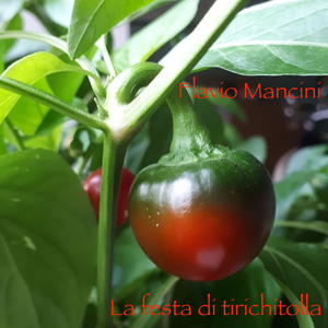 LA FESTA DI TIRICHITOLLA