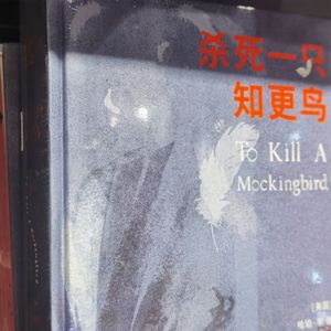 杀死一只知更鸟