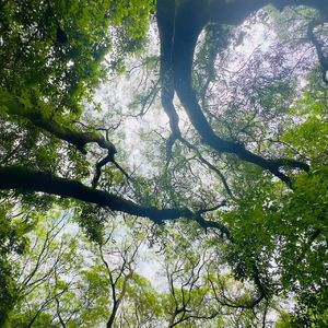 《山雨》prod.siren&EVO MUSIC