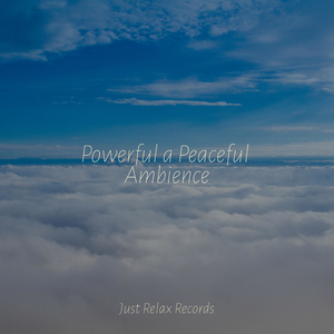 Sugarplum Fantasy Flight