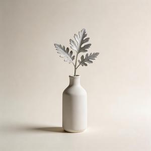 心上繁华（风中野草）