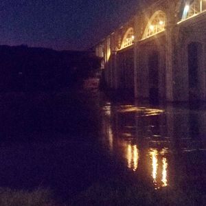 目击众神死亡的草原上野花一片