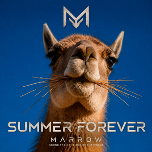 Summer Forever