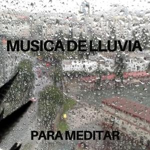 Pluet Musica meditari