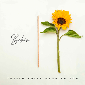 Tussen Volle Maan en Zon