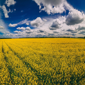 Ніколи-нікому