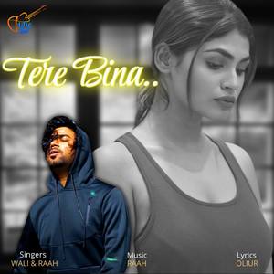 Tere Bina