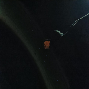 Hab ich mir nich schon genug genomm