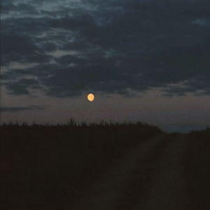 these nights