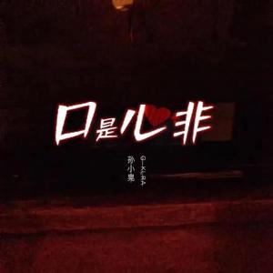 口是心非Mix