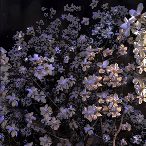 来不及（写灯光）.wav