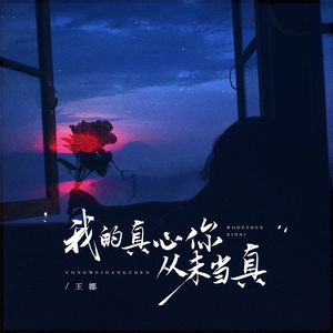 我的真心你从未当真