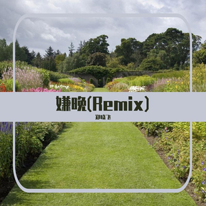 嫌晚 (Remix)