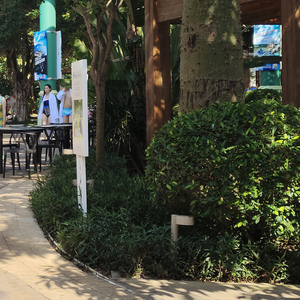 一无所有怕什么寒门出身又怎样