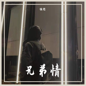 群星-你个单身狗（独愁 remix）