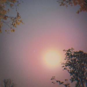 Chanterelle (I adoret You)