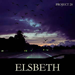 PROJECT 28