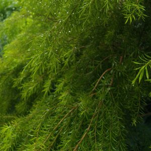 一个人的乌托邦