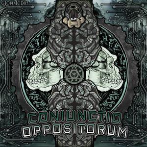 Coscienza Multidimensionale