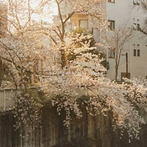 다시 몇 번의 봄이 와도 (prod. 레터플로우)