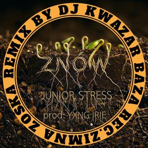 Znów (Kwazar Remix - Zimna Zośka )