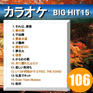 いつか何処かで（I FEEL THE ECHO) （カラオケ）