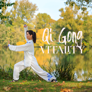 Qi Gong Academy
