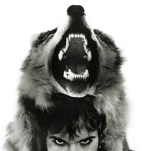 Волка кормят ноги