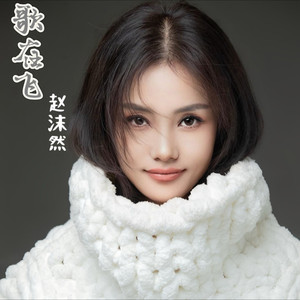 歌在飞