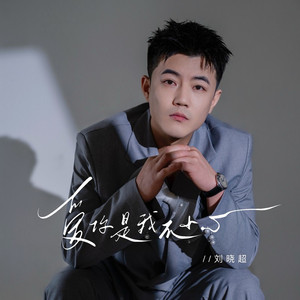 爱你是我不小心 (DJ豪大大版)