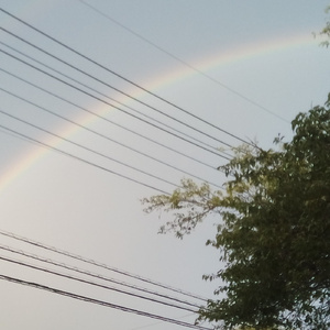 架空の天偈神社と実在の空の虹