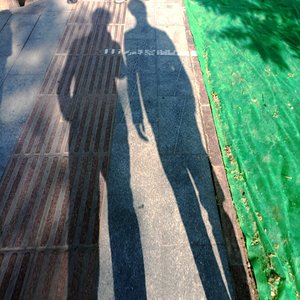 遗失的心跳（0.8×）