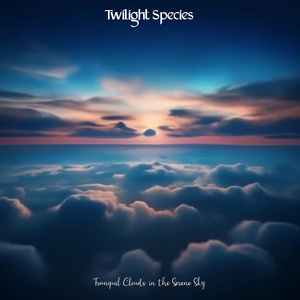 Tranquil Clouds in the Serene Sky (Instrumental Chill Out Trance Version)