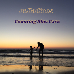 Counting Blue Cars