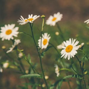 雨（Prod. TakebacKK)）