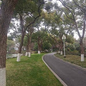 三千里（治愈）