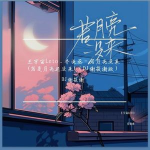 王宇宙Leto _ 乔浚丞 - 若月亮没来 (若是月亮还没来)（DJ谢筱谢 remix）